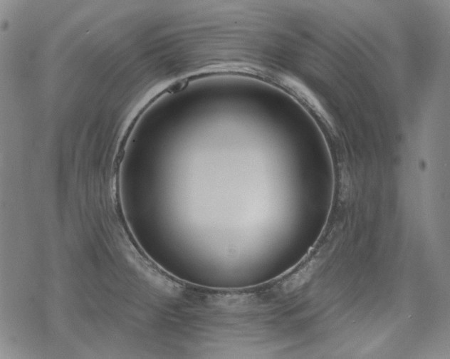X0000072491284200607141055