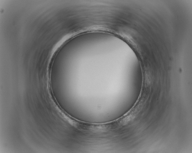 X0000072491286200607141055