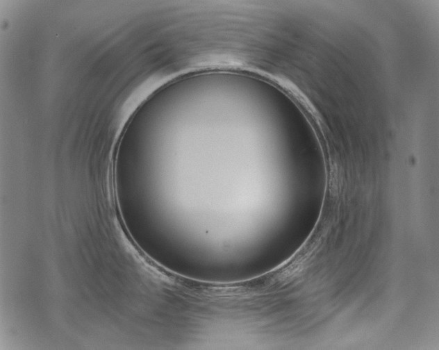 X0000072491295200607141055