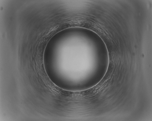 X0000072491297200607141054
