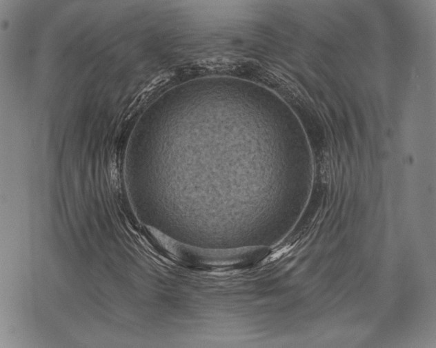 X0000072491298200607141054