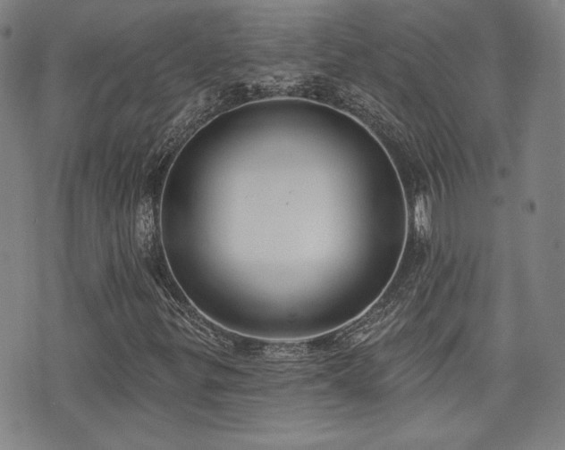 X0000072491299200607141054