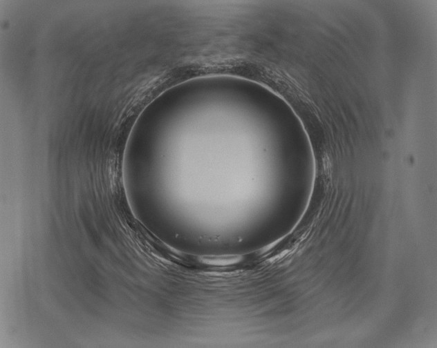X0000072491300200607141054