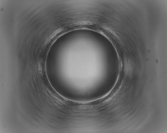 X0000072491305200607141054