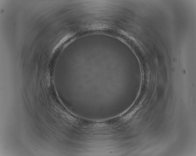 X0000072491306200607141055