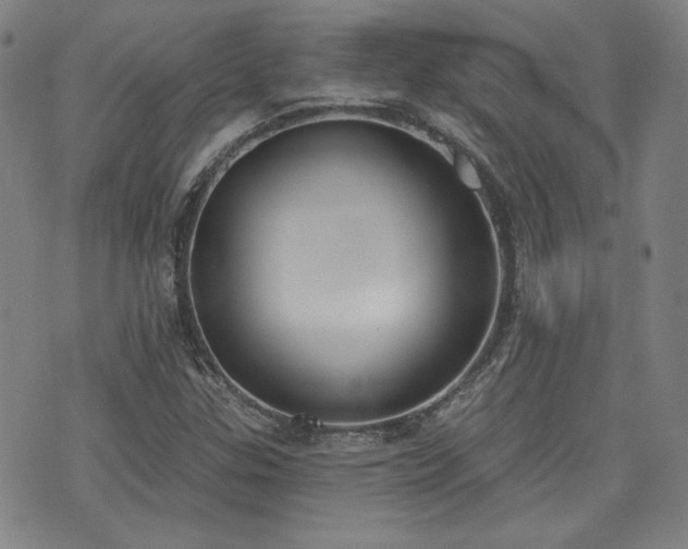 X0000072491307200607141055