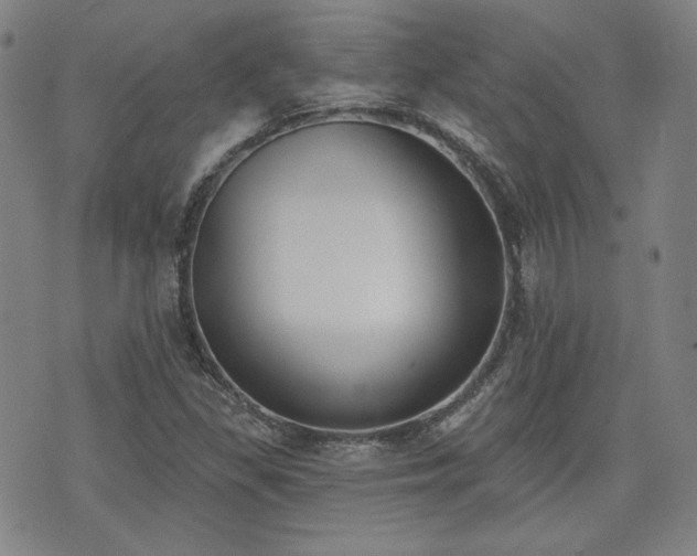X0000072491309200607141055