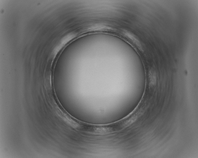 X0000072491322200607141055