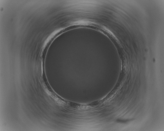 X0000072491323200607141055