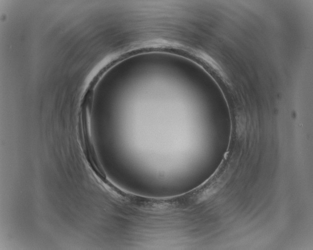 X0000072491326200607141055