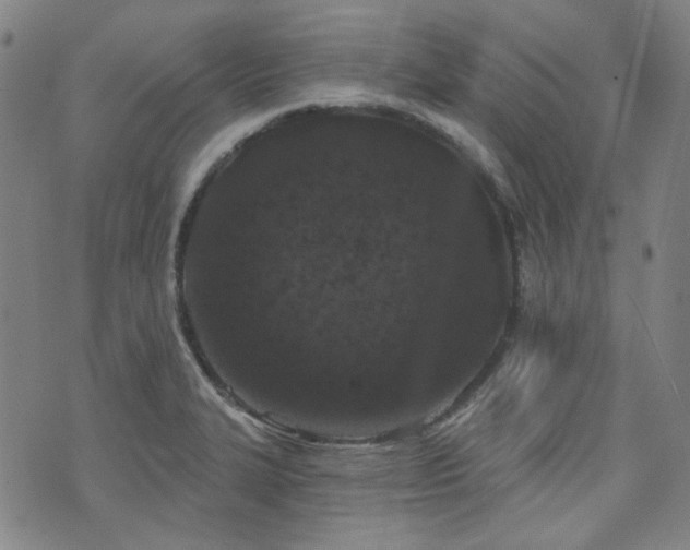 X0000072491327200607141055