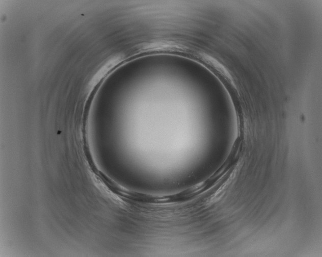 X0000072491330200607141055