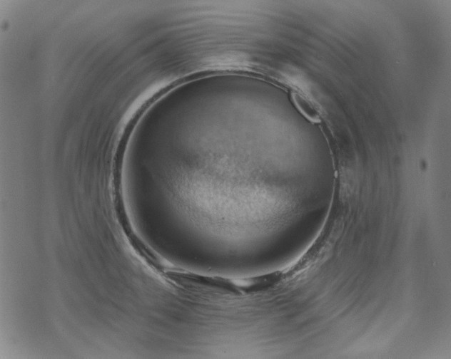 X0000072491331200607141055
