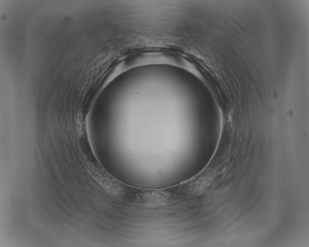 X0000072491348200607141054