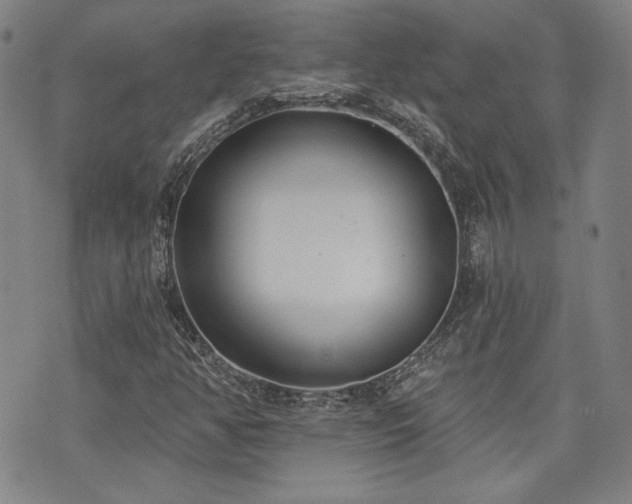 X0000072491350200607141054