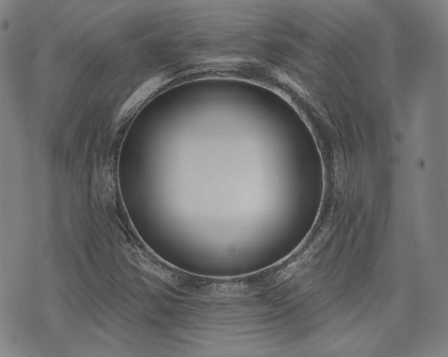 X0000072491354200607141054
