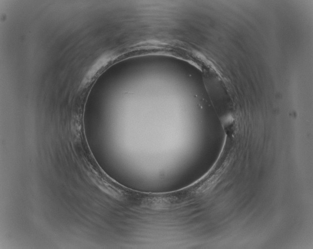 X0000072491355200607141054
