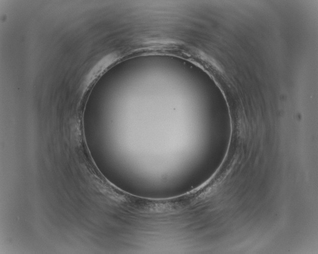 X0000072491362200607141054