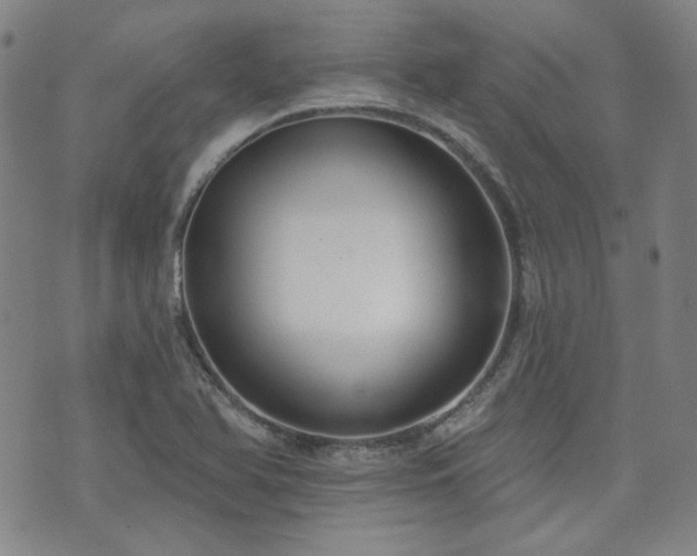 X0000072491366200607141054