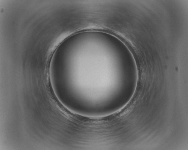 X0000072491367200607141054