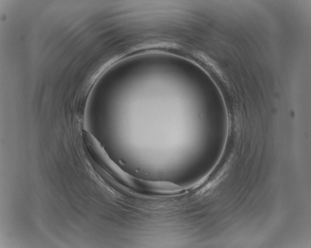 X0000072491369200607141054