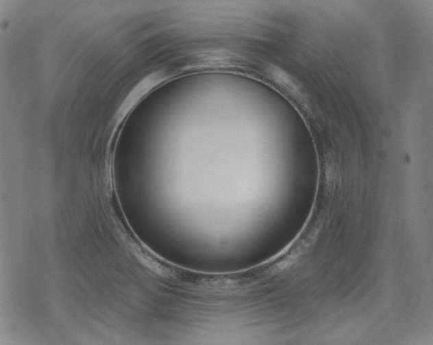 X0000072491370200607141054