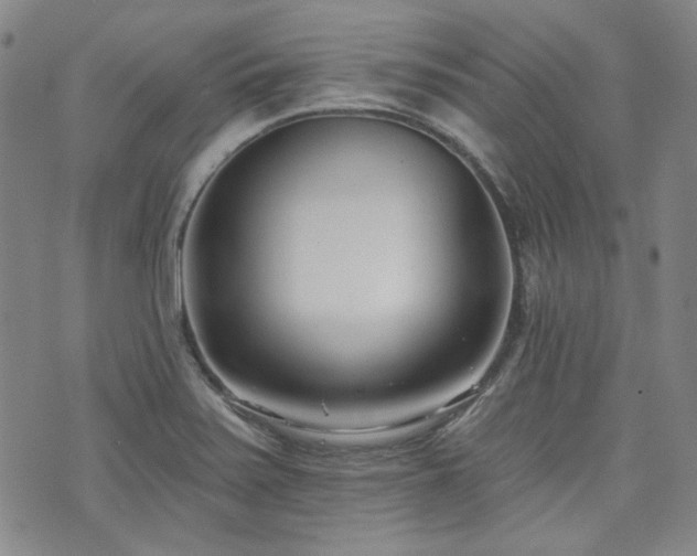 X0000072491371200607141054