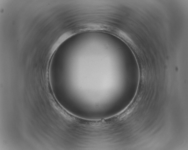 X0000072491378200607141054