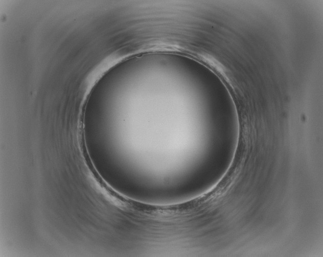X0000072491379200607141054