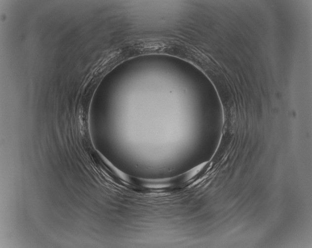 X0000072491394200607141053