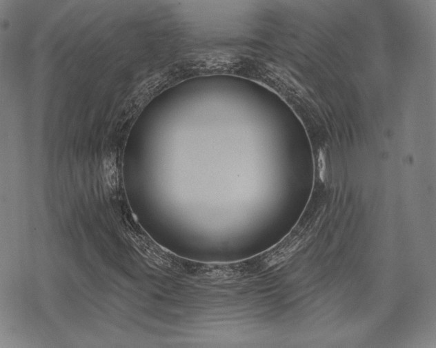 X0000072491395200607141053