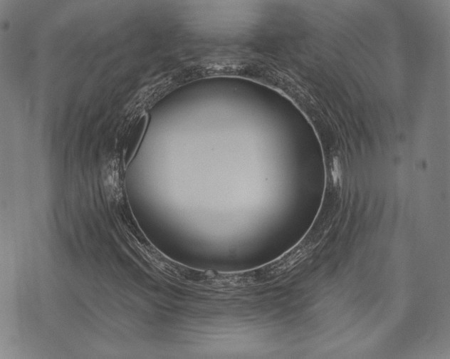 X0000072491396200607141053