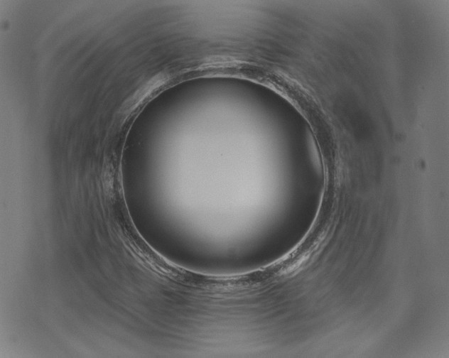 X0000072491401200607141053