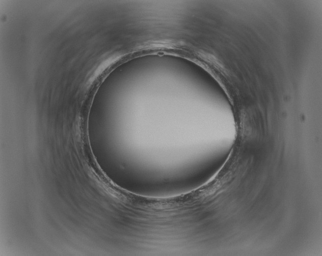 X0000072491404200607141053