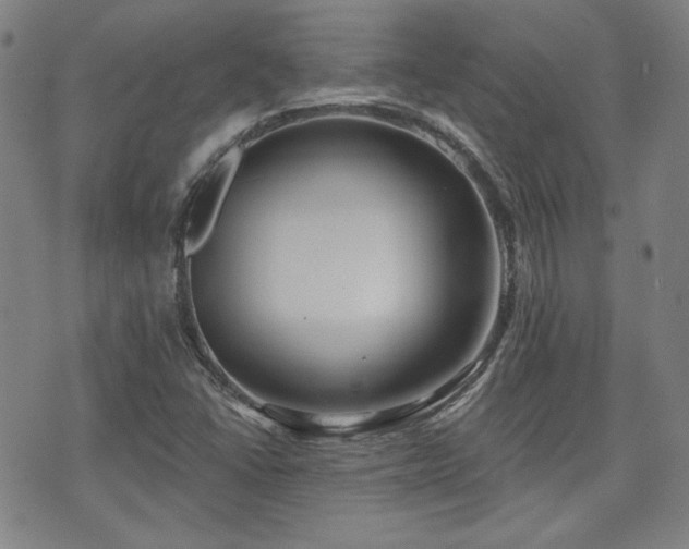 X0000072491406200607141053