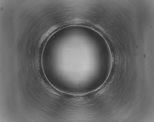 X0000072491410200607141053