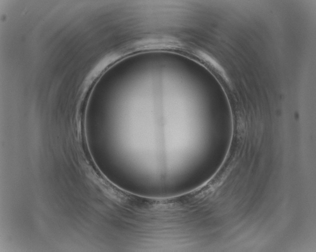 X0000072491419200607141053
