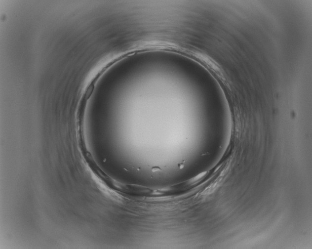 X0000072491430200607141053