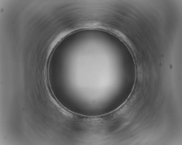 X0000072491432200607141053