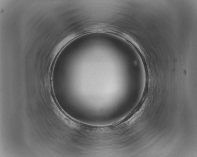 X0000072491434200607141053