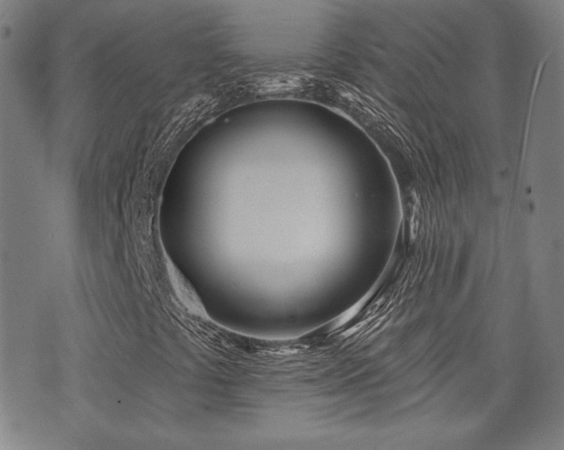 X0000072491441200607141053
