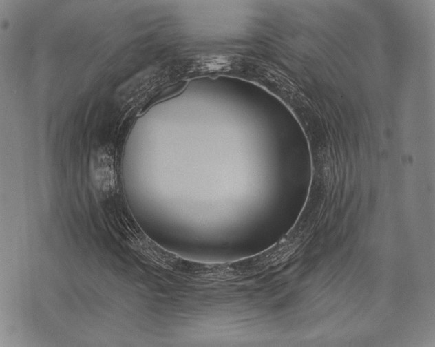 X0000072491442200607141053