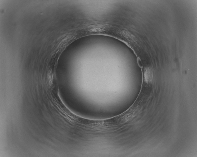 X0000072491444200607141053