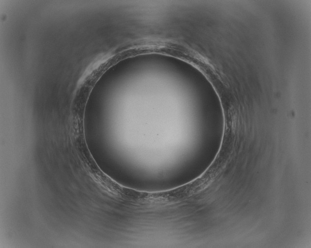 X0000072491448200607141053