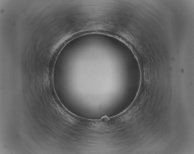 X0000072491452200607141053