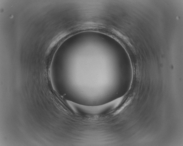 X0000072491453200607141053