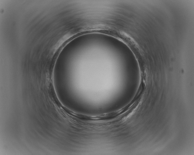X0000072491457200607141053