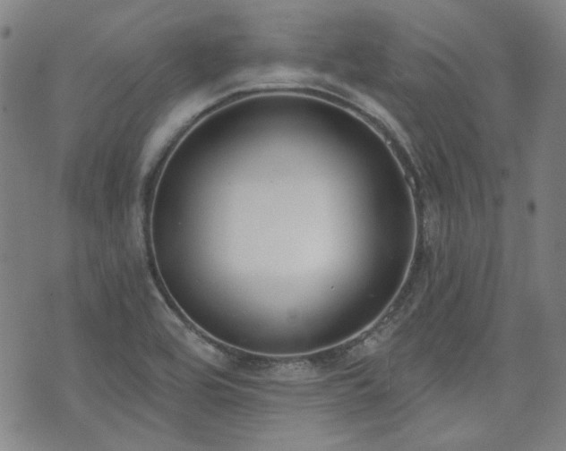 X0000072491464200607141052