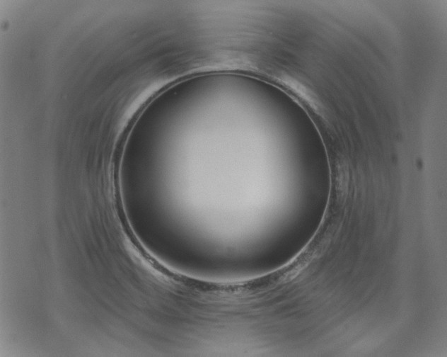 X0000072491468200607141052