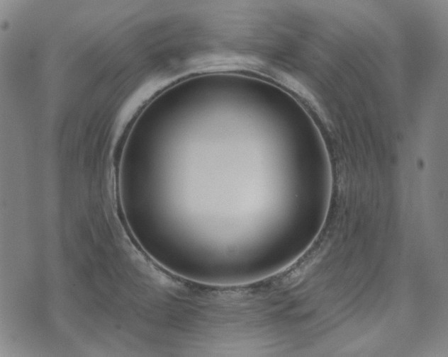 X0000072491472200607141052